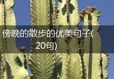 傍晚的散步的优美句子(20句)