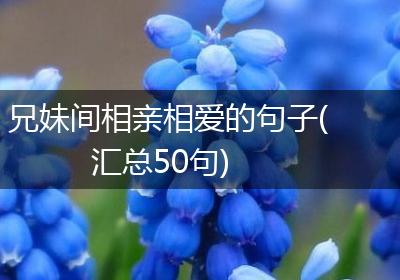 兄妹间相亲相爱的句子(汇总50句)