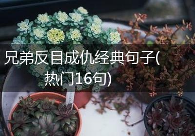 兄弟反目成仇经典句子(热门16句)
