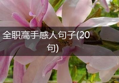 全职高手感人句子(20句)