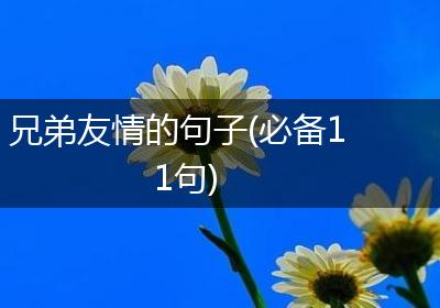 兄弟友情的句子(必备11句)