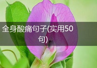全身酸痛句子(实用50句)