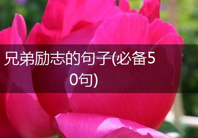兄弟励志的句子(必备50句)