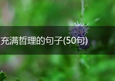 充满哲理的句子(50句)