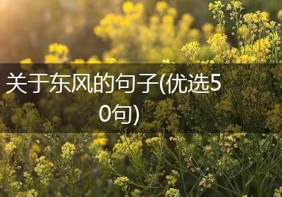 关于东风的句子(优选50句)