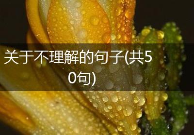 关于不理解的句子(共50句)