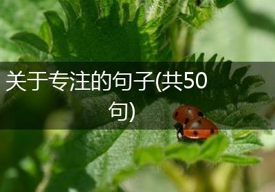 关于专注的句子(共50句)