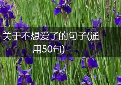 关于不想爱了的句子(通用50句)