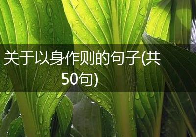 关于以身作则的句子(共50句)