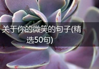关于你的微笑的句子(精选50句)