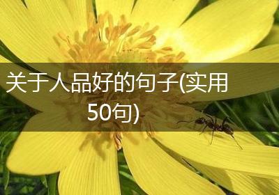 关于人品好的句子(实用50句)