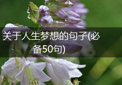 关于人生梦想的句子(必备50句)