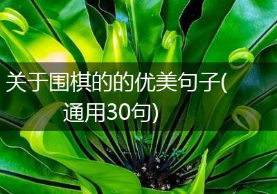关于围棋的的优美句子(通用30句)