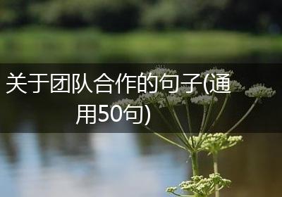 关于团队合作的句子(通用50句)