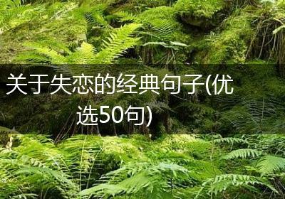关于失恋的经典句子(优选50句)