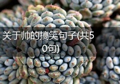 关于帅的搞笑句子(共50句)