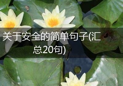 关于安全的简单句子(汇总20句)