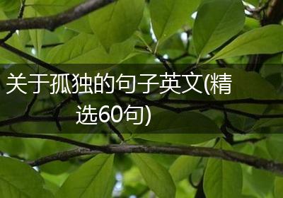 关于孤独的句子英文(精选60句)