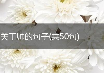 关于帅的句子(共50句)