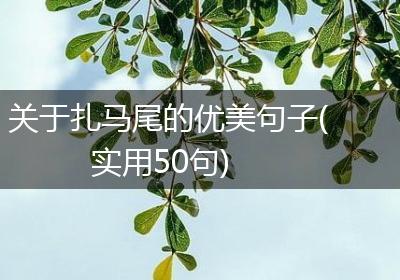 关于扎马尾的优美句子(实用50句)