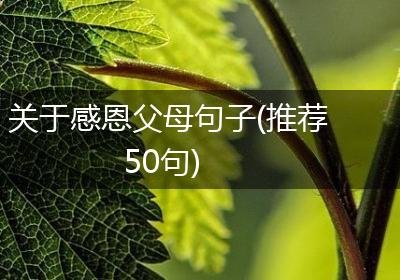 关于感恩父母句子(推荐50句)