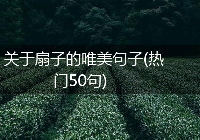 关于扇子的唯美句子(热门50句)