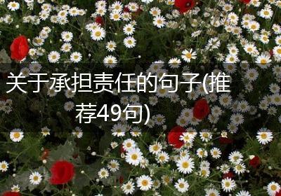 关于承担责任的句子(推荐49句)