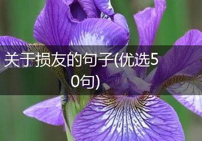 关于损友的句子(优选50句)