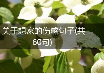 关于想家的伤感句子(共60句)