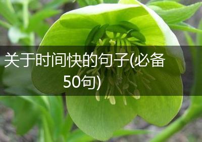 关于时间快的句子(必备50句)