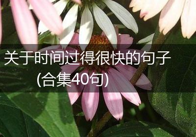 关于时间过得很快的句子(合集40句)