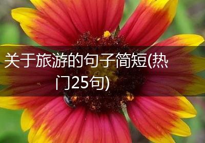 关于旅游的句子简短(热门25句)