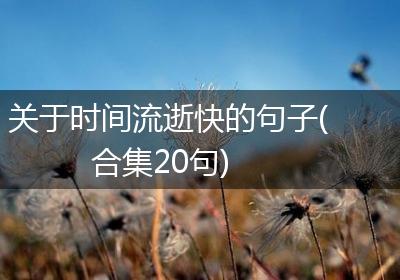 关于时间流逝快的句子(合集20句)
