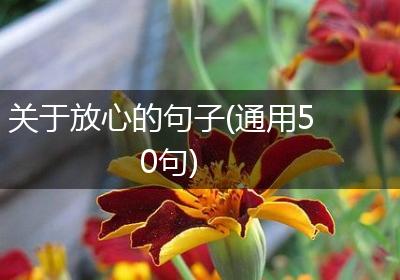 关于放心的句子(通用50句)