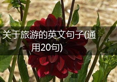 关于旅游的英文句子(通用20句)