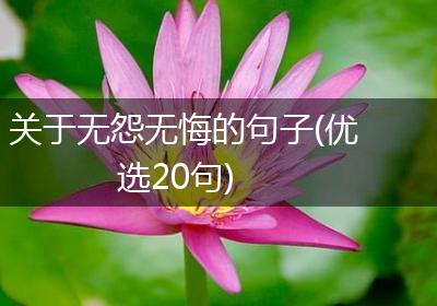 关于无怨无悔的句子(优选20句)