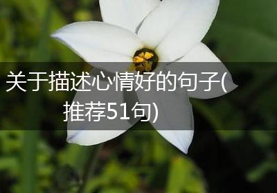 关于描述心情好的句子(推荐51句)