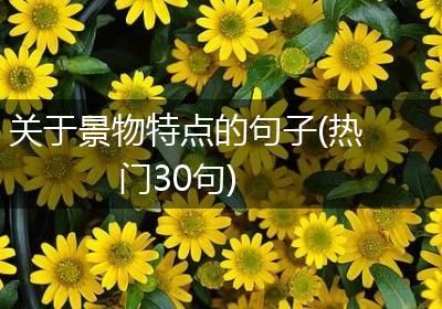 关于景物特点的句子(热门30句)