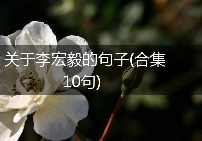 关于李宏毅的句子(合集10句)