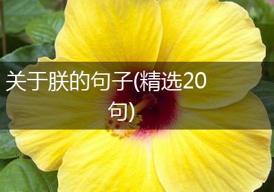 关于朕的句子(精选20句)