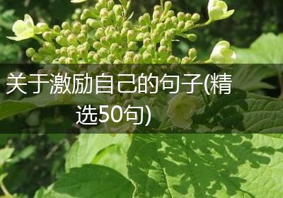 关于激励自己的句子(精选50句)