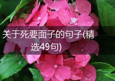 关于死要面子的句子(精选49句)