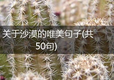 关于沙漠的唯美句子(共50句)