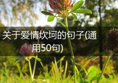关于爱情坎坷的句子(通用50句)