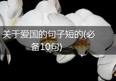 关于爱国的句子短的(必备10句)