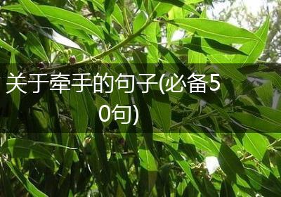 关于牵手的句子(必备50句)
