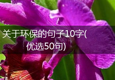 关于环保的句子10字(优选50句)