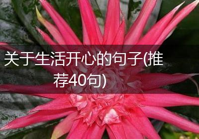 关于生活开心的句子(推荐40句)