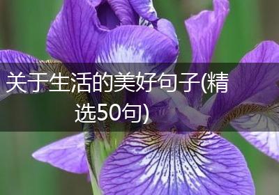 关于生活的美好句子(精选50句)