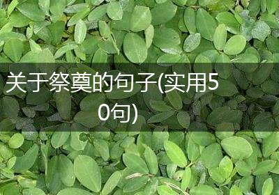 关于祭奠的句子(实用50句)